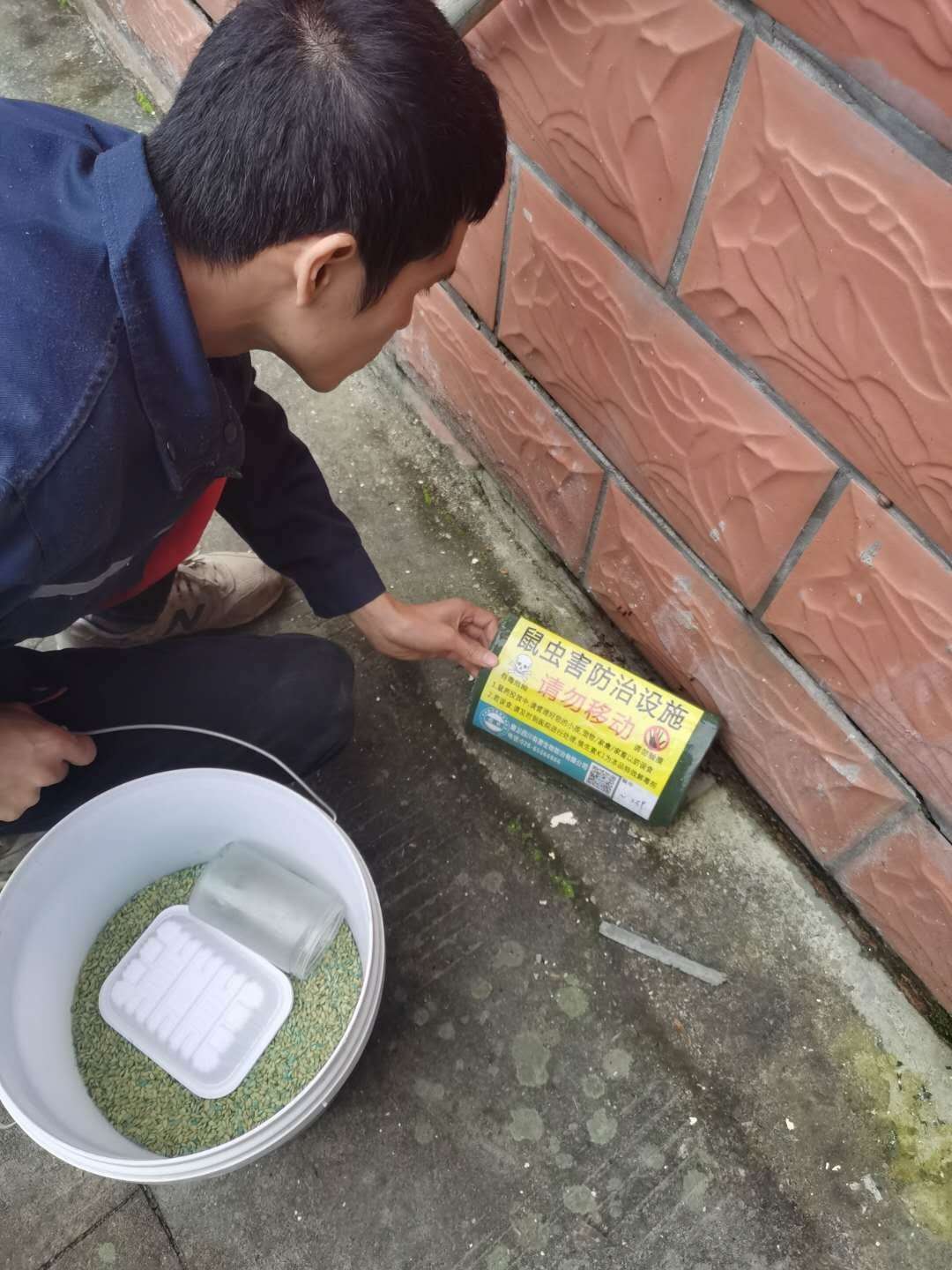 资阳除四害